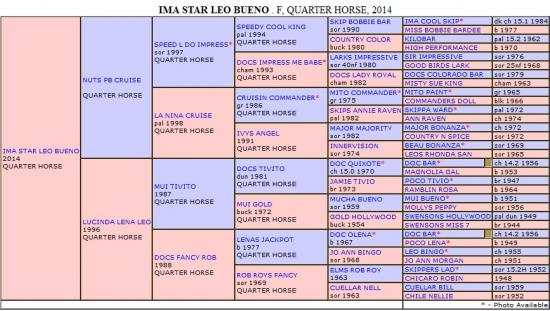 Ima star leo bueno arbre